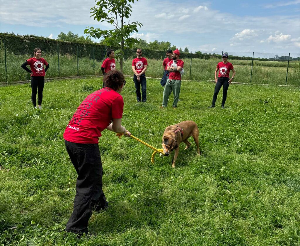 team building squadra quattro zampe