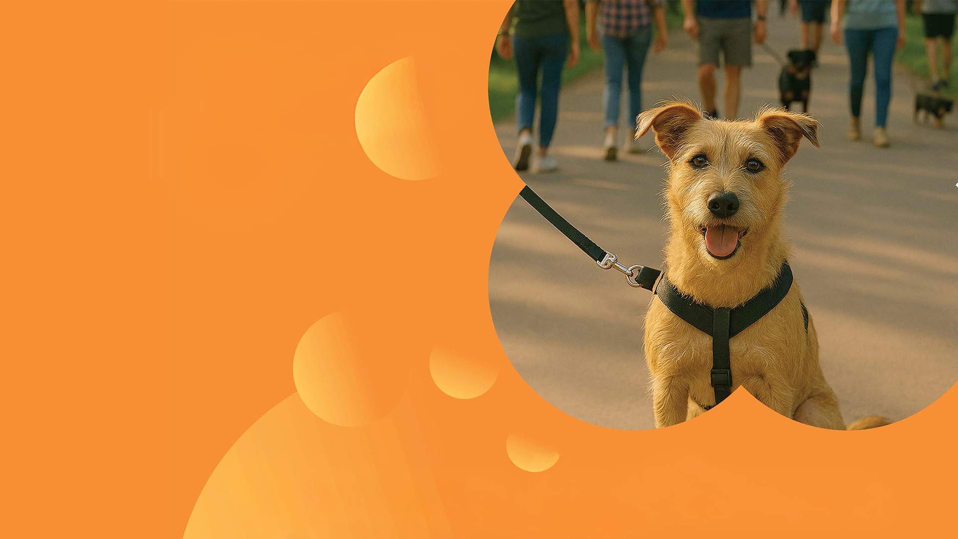 “Vivere insieme – Cani e persone in armonia”