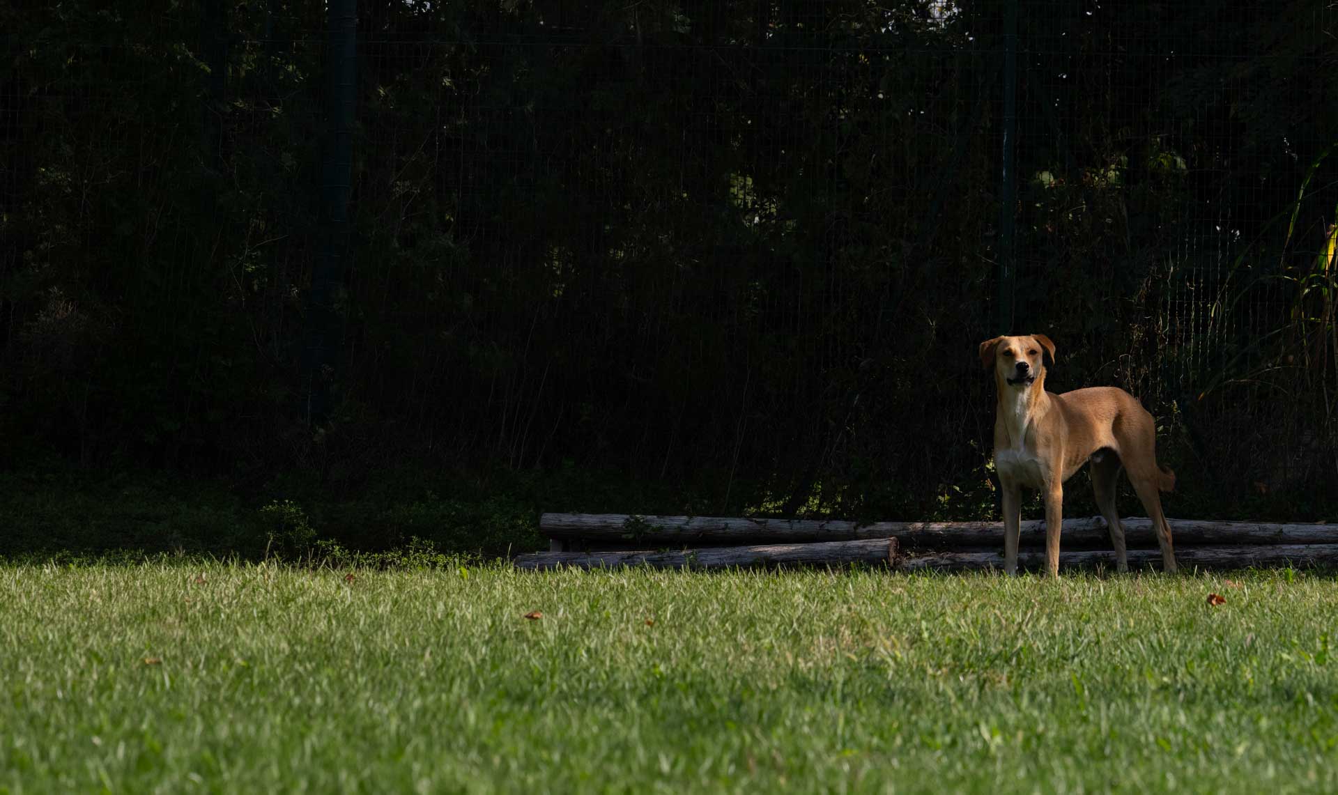 Camminare insieme, per stare ancora più vicini